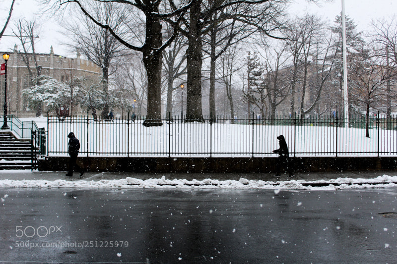 Canon EOS 1200D (EOS Rebel T5 / EOS Kiss X70 / EOS Hi) sample photo. Snowstorm photography