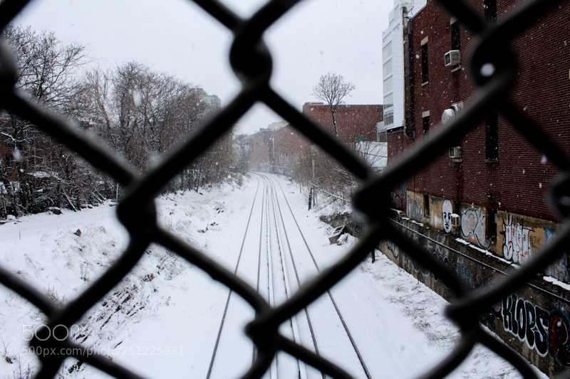 Canon EOS 1200D (EOS Rebel T5 / EOS Kiss X70 / EOS Hi) sample photo. Snowstorm photography