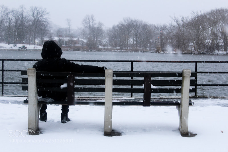 Canon EOS 1200D (EOS Rebel T5 / EOS Kiss X70 / EOS Hi) sample photo. Snowstorm photography