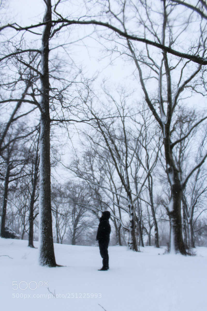 Canon EOS 1200D (EOS Rebel T5 / EOS Kiss X70 / EOS Hi) sample photo. Snowstorm photography