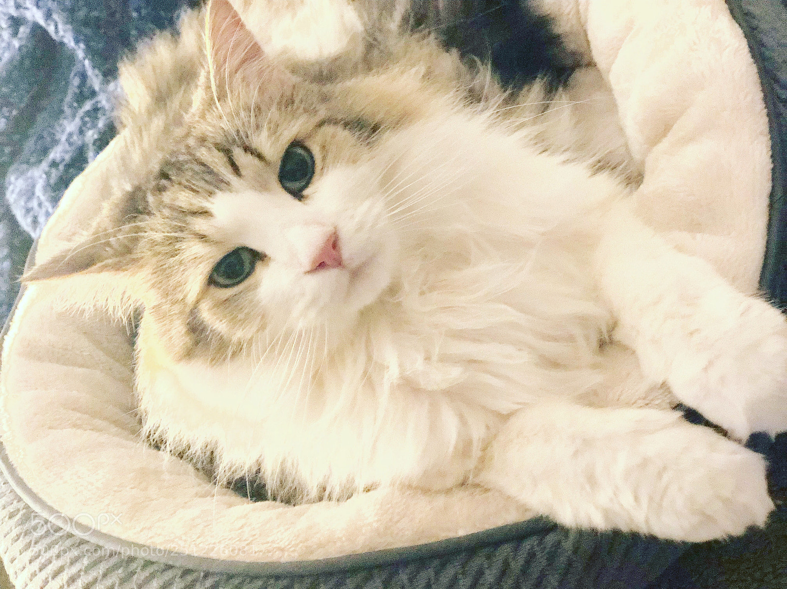 Apple iPhone X sample photo. My name is remy photography