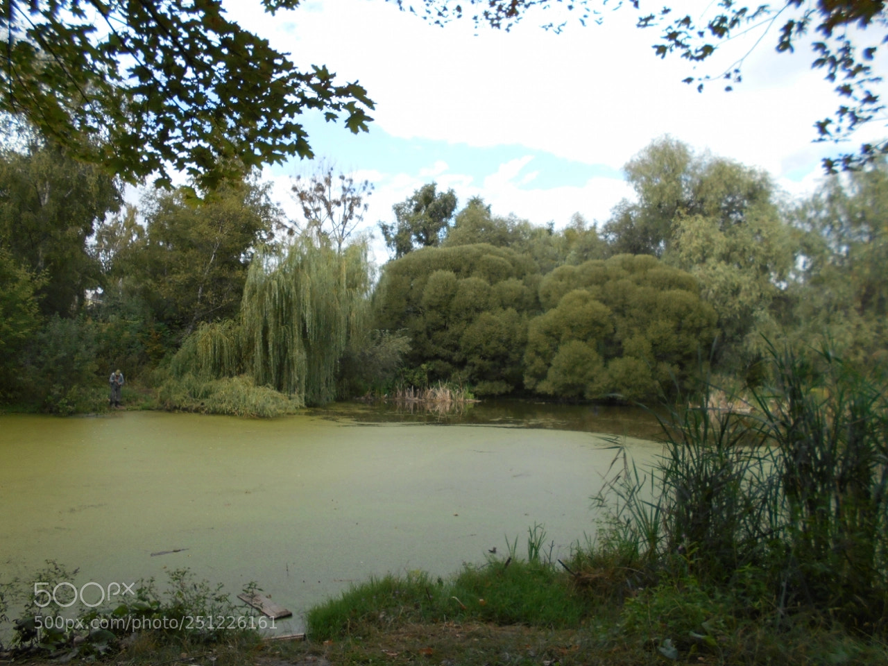 Nikon Coolpix A100 sample photo. Eaa orig photography