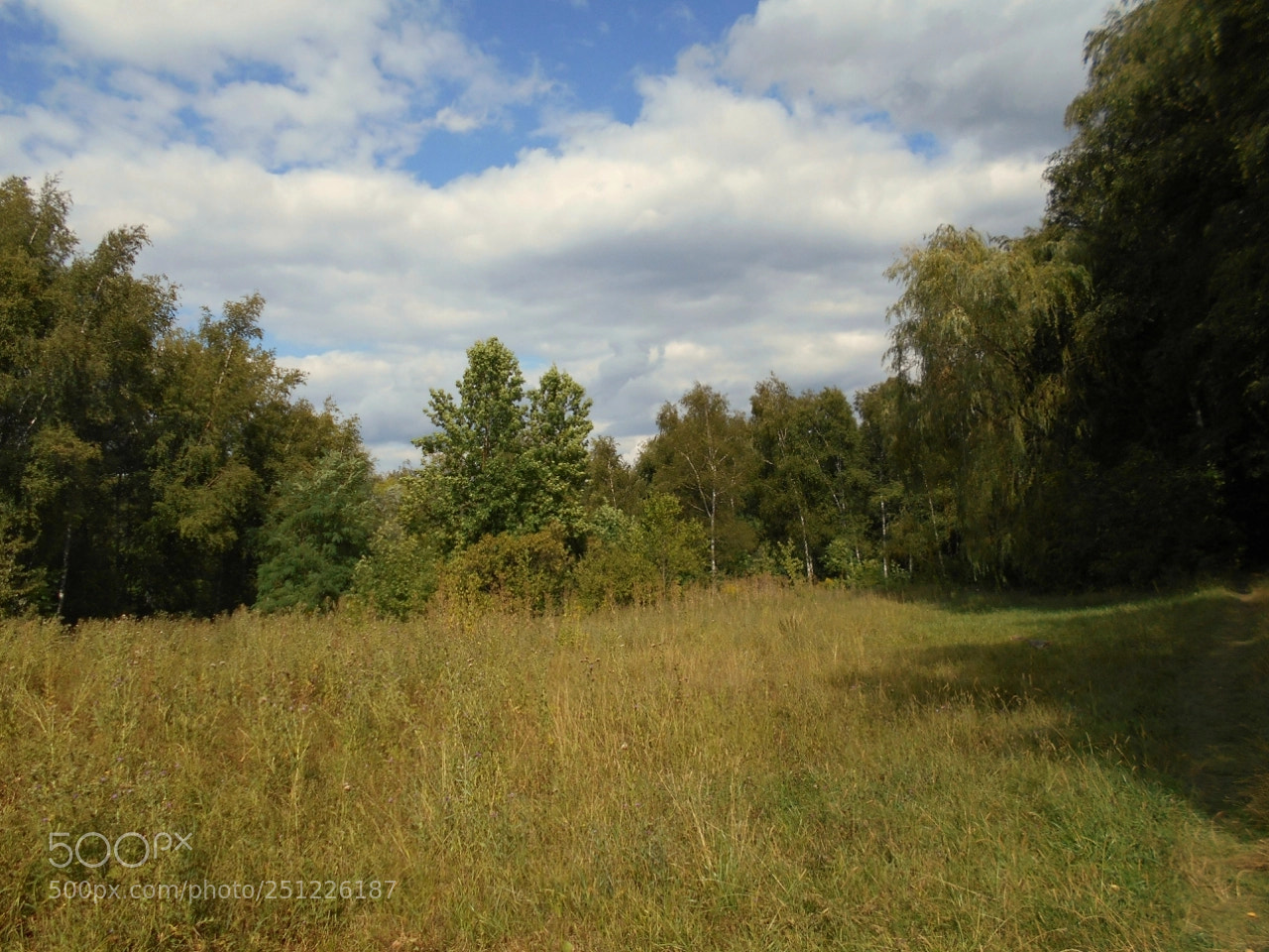 Nikon Coolpix A100 sample photo. Borig photography