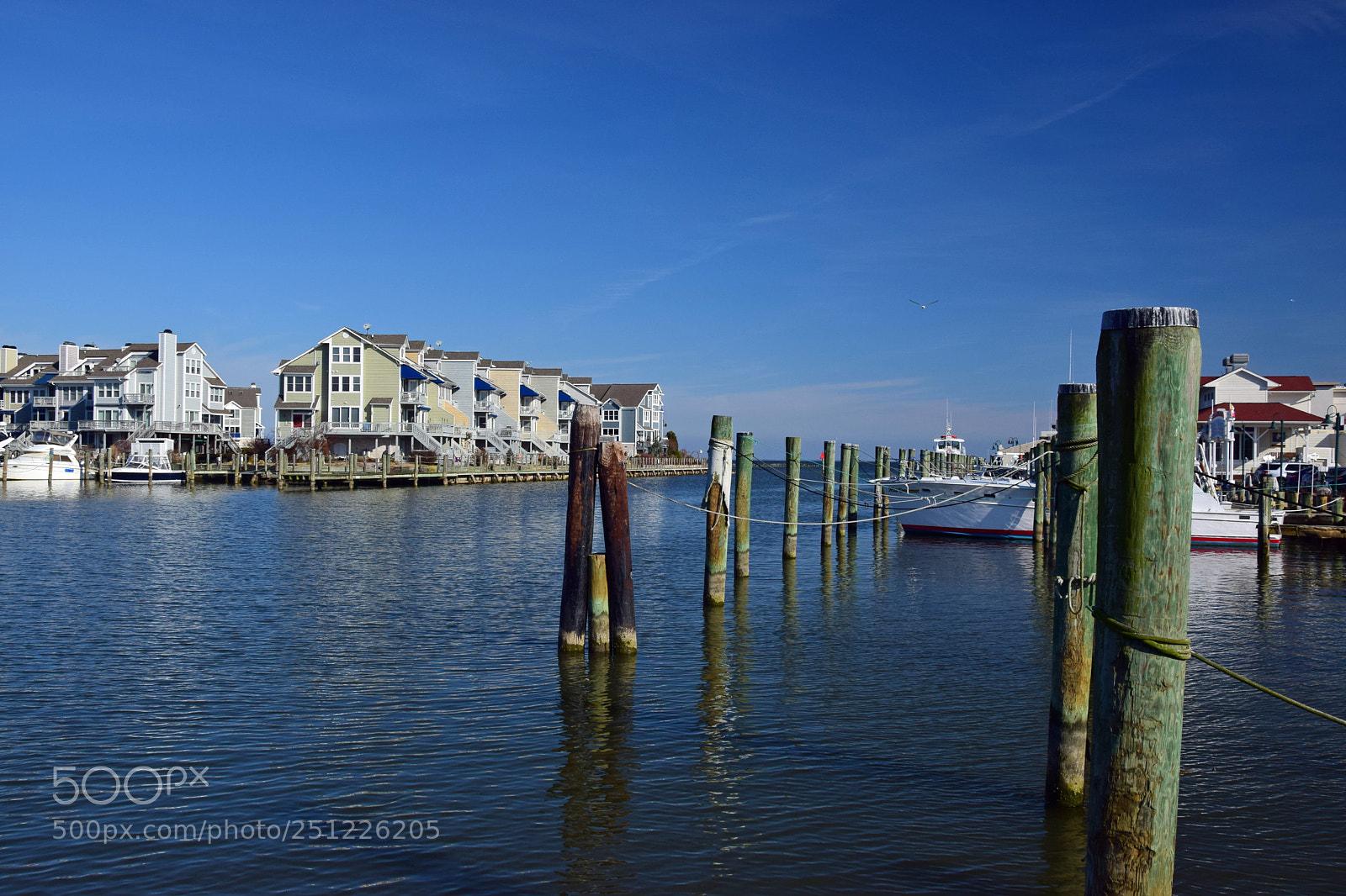 Nikon D5300 sample photo. Chesapeake beach bay photography