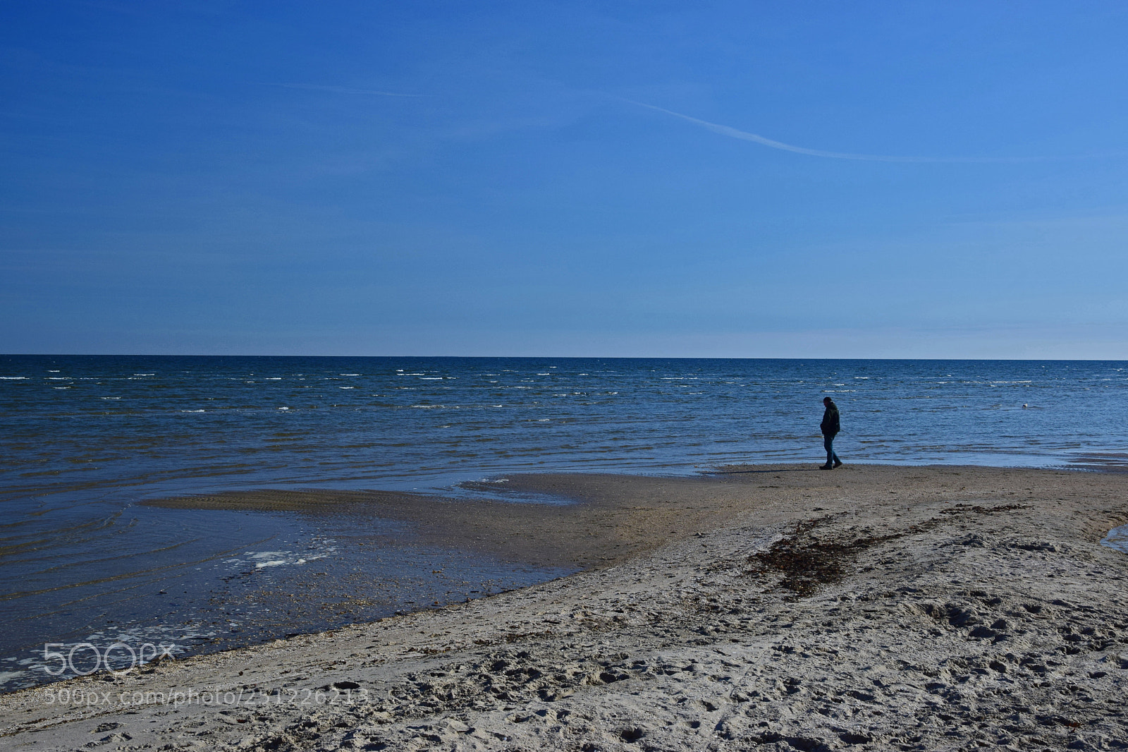 Nikon D5300 sample photo. Mystery man photography