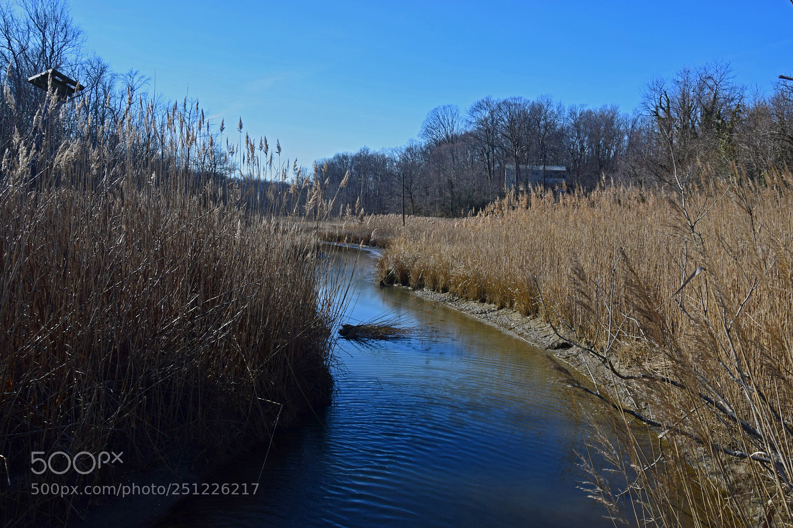 Nikon D5300 sample photo. Stream photography