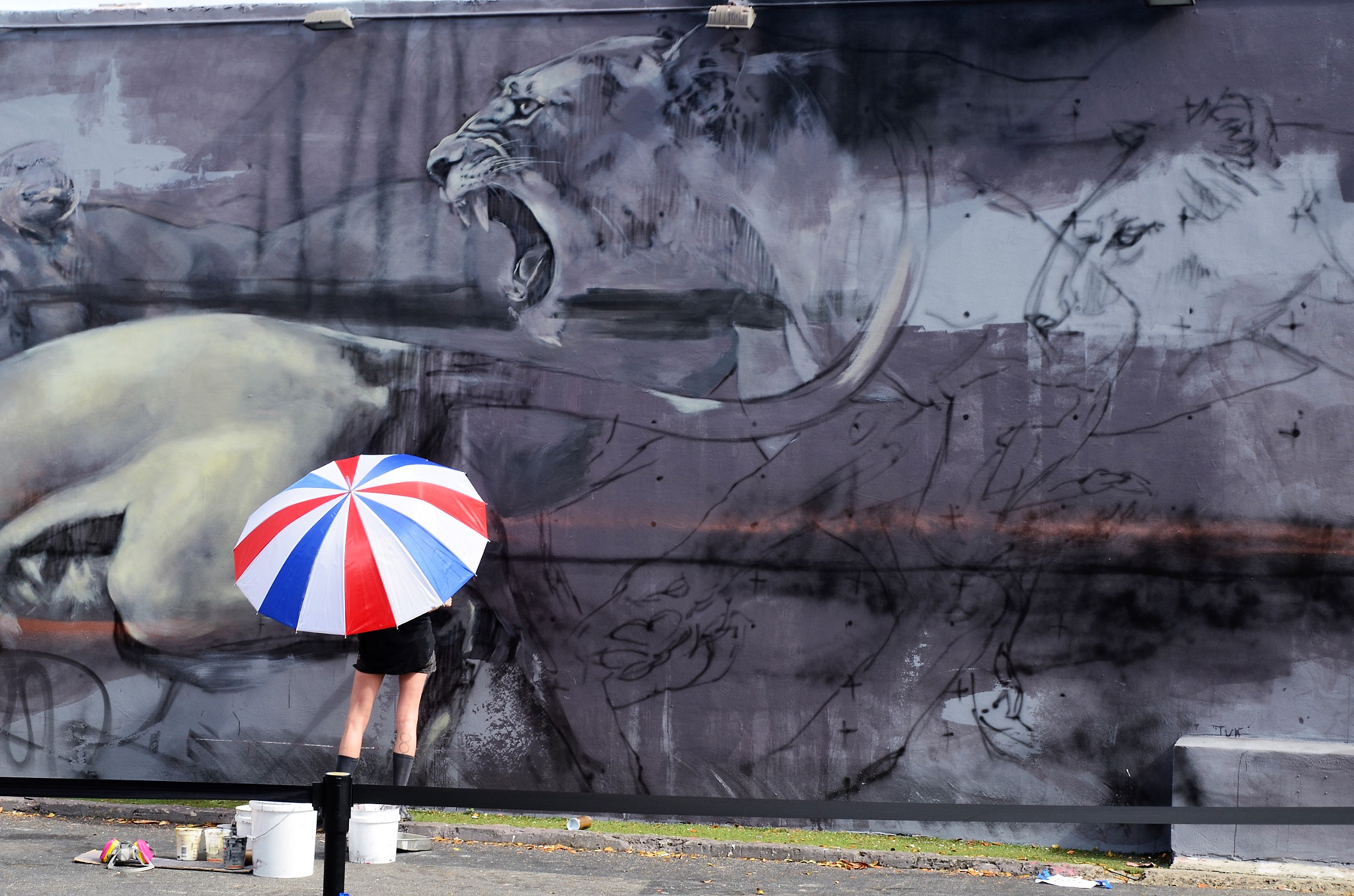 Nikon D5100 sample photo. Graffiti miami photography
