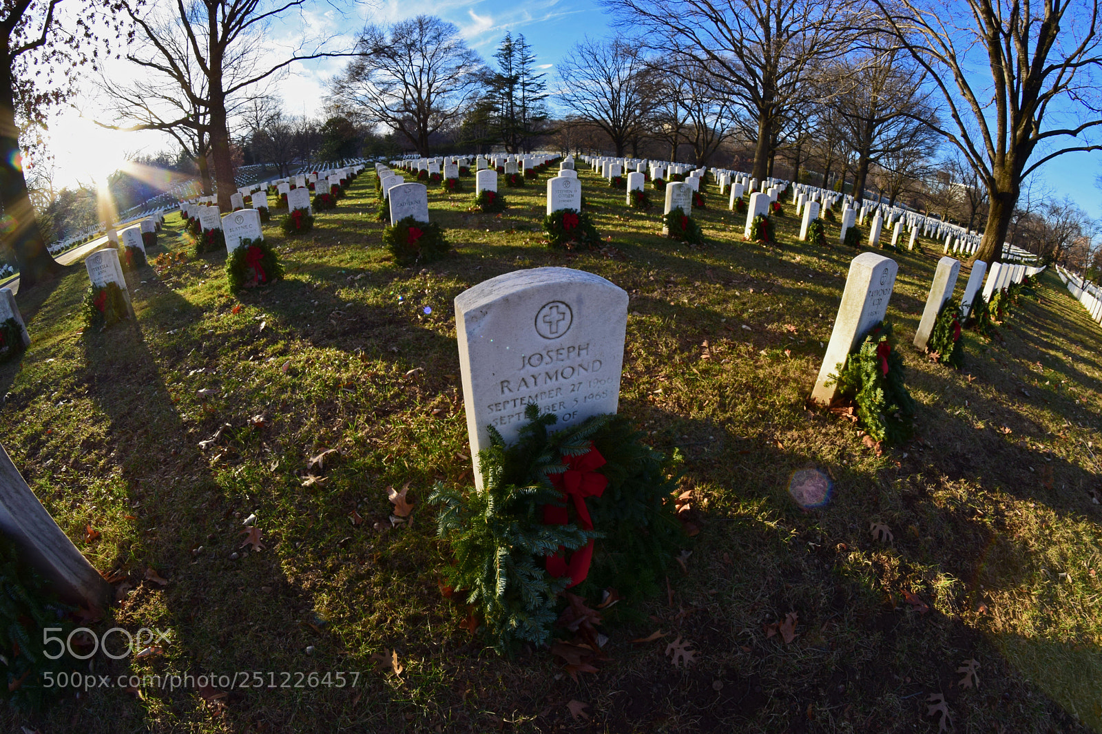 Nikon D5300 sample photo. Arlington graves fisheye photography