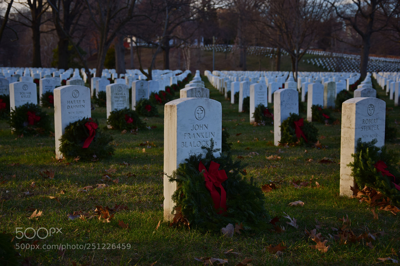 Nikon D5300 sample photo. Arlington graves photography