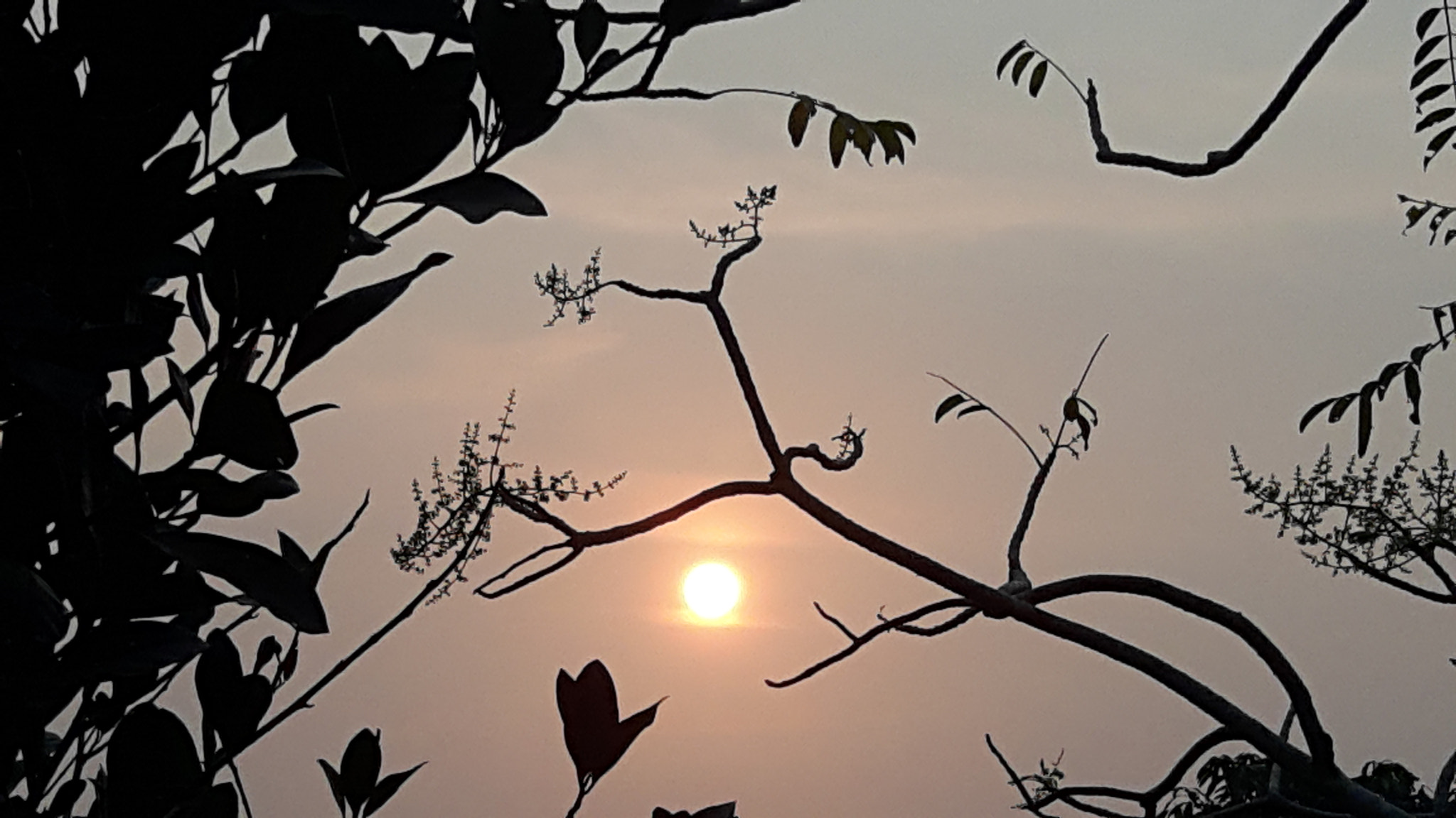 Samsung Galaxy A8 sample photo