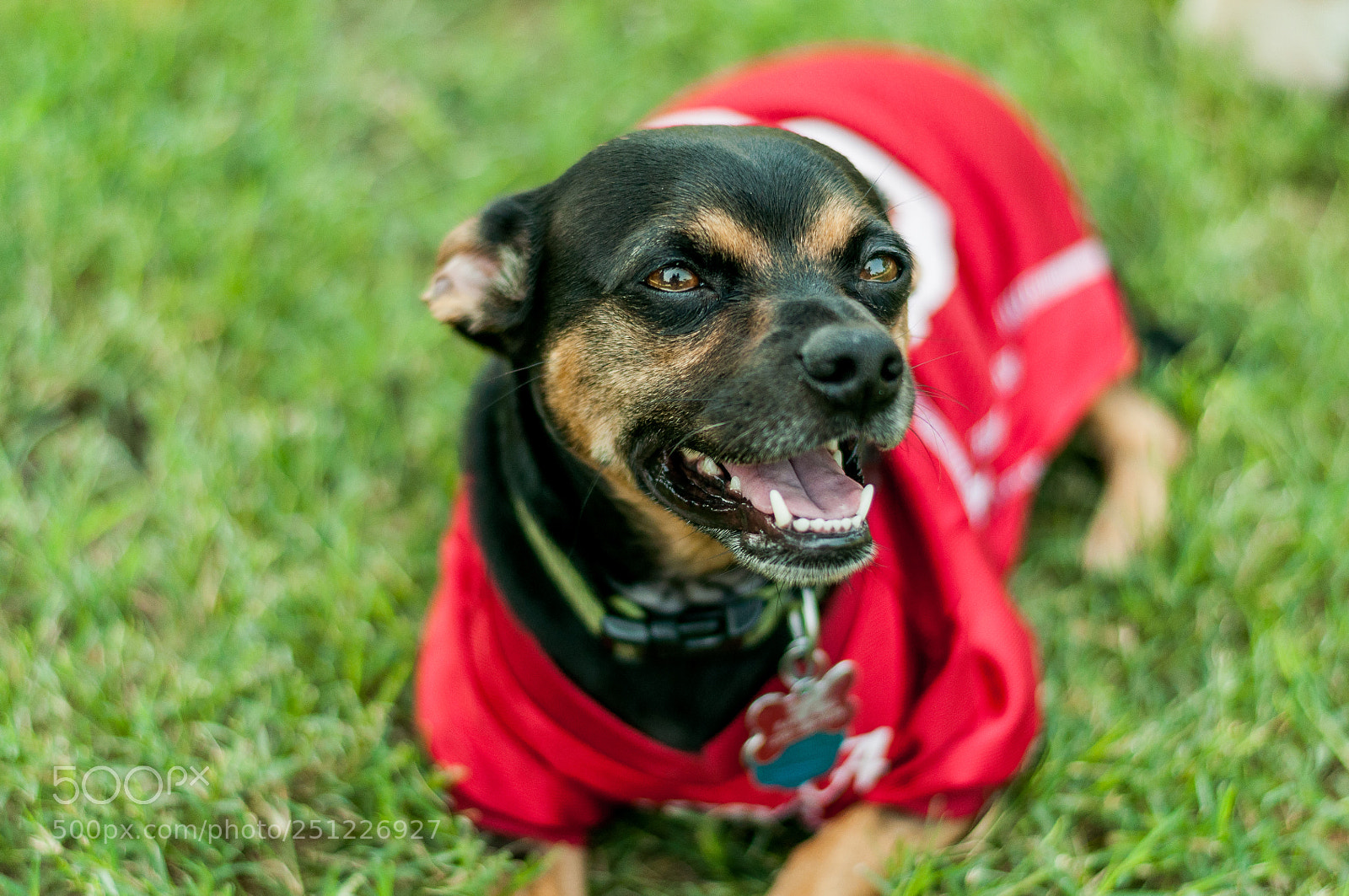 Nikon D90 sample photo. Kirby photography