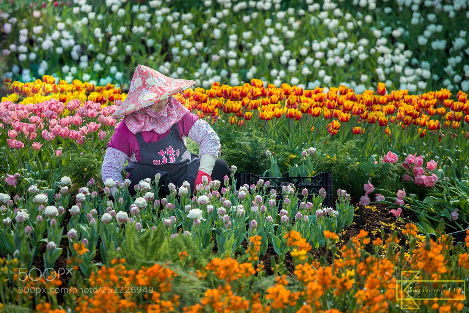 Canon EOS 6D Mark II sample photo. The gardener photography