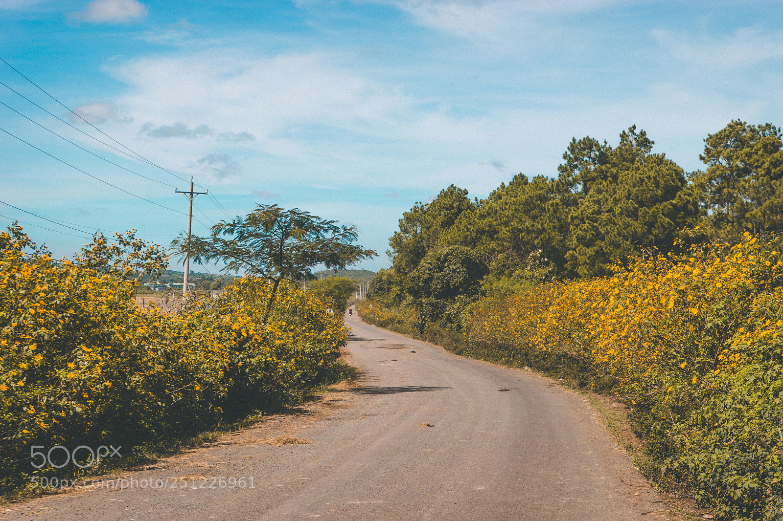 Sony a7 sample photo. Đức trọng photography