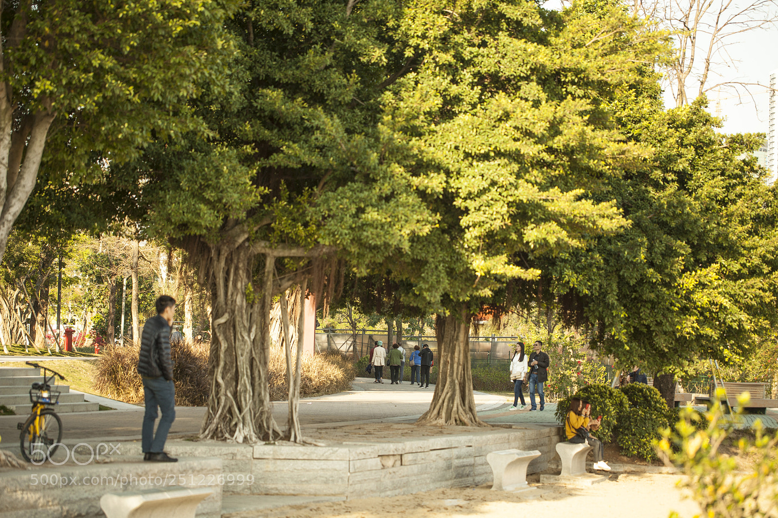 Canon EOS 5D Mark II sample photo. Life photography