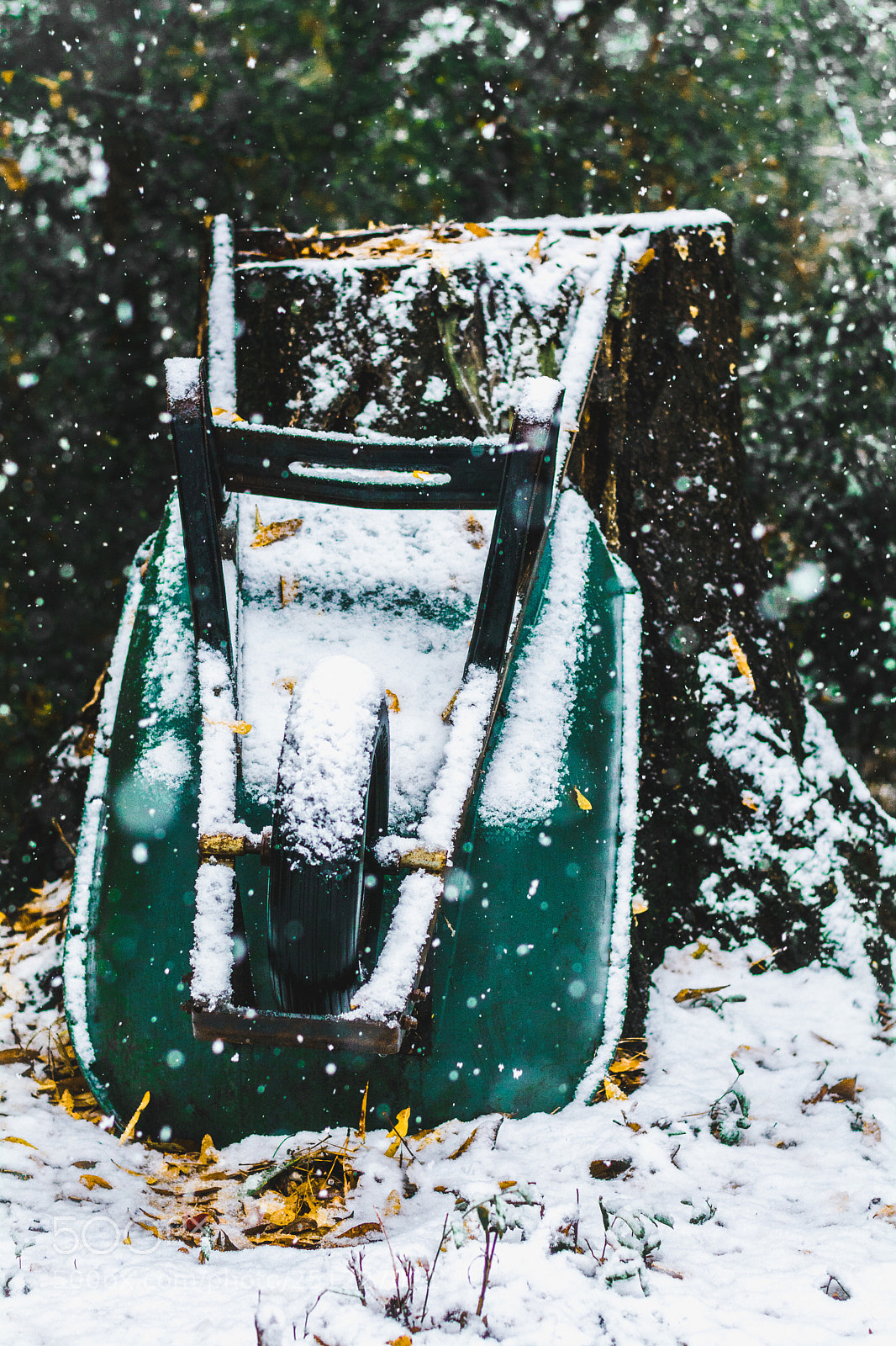 Nikon D7100 sample photo. Snowy day photography