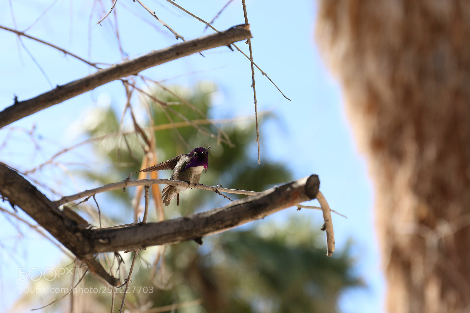Canon EOS 70D sample photo. Untitled photography