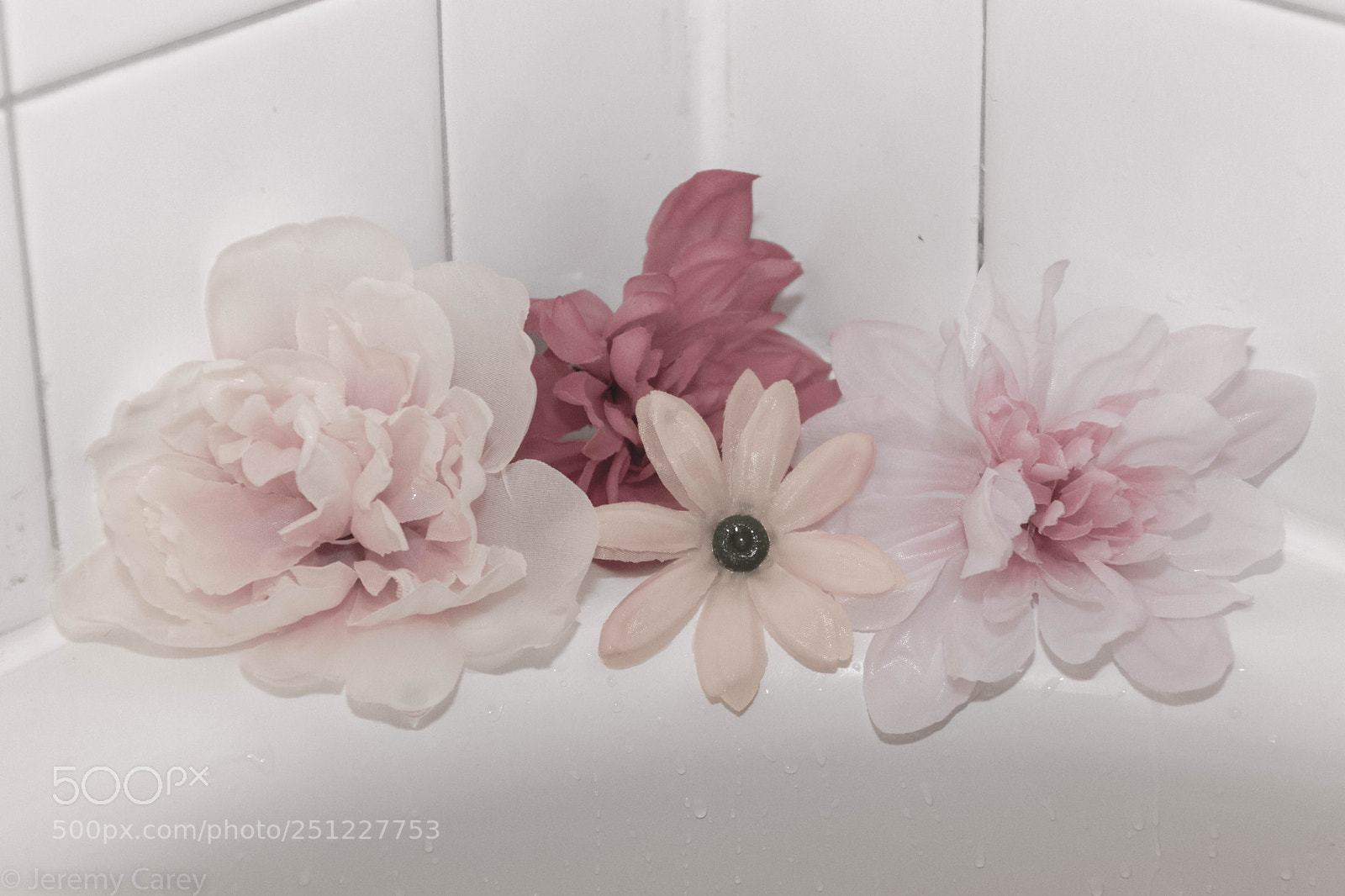 Canon EOS 77D (EOS 9000D / EOS 770D) sample photo. Untitled photography