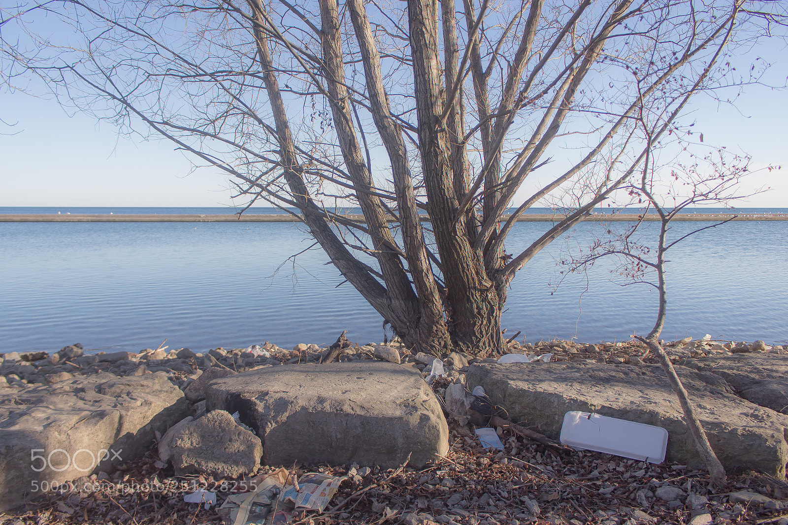 Canon EOS 700D (EOS Rebel T5i / EOS Kiss X7i) sample photo. Untitled photography