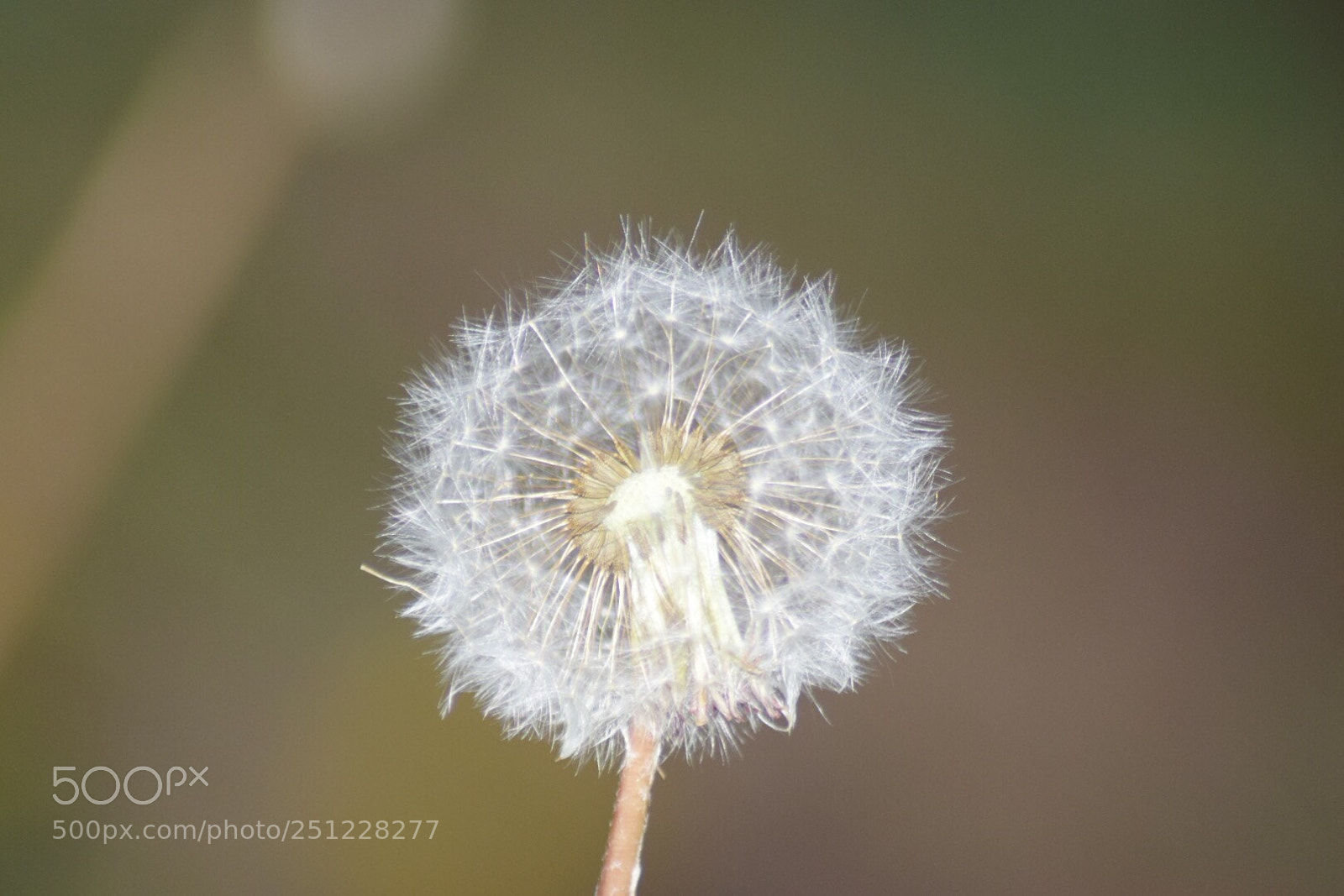 Nikon D5300 sample photo. Untitled photography
