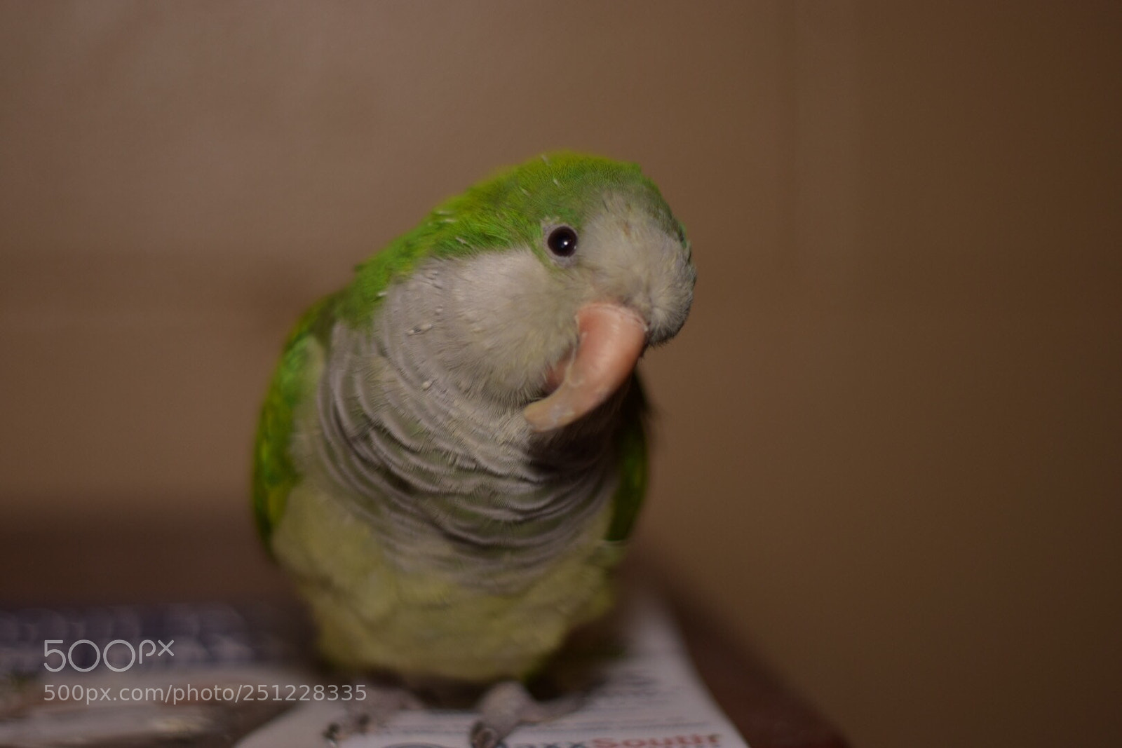 Nikon D5300 sample photo. Untitled photography