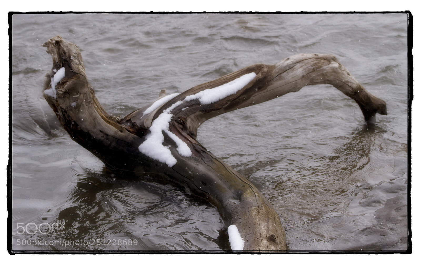 Canon EOS 7D sample photo. Log in the bow photography