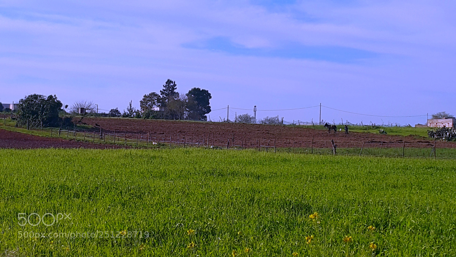 Samsung Galaxy Note4 sample photo. Spring from the countryside photography