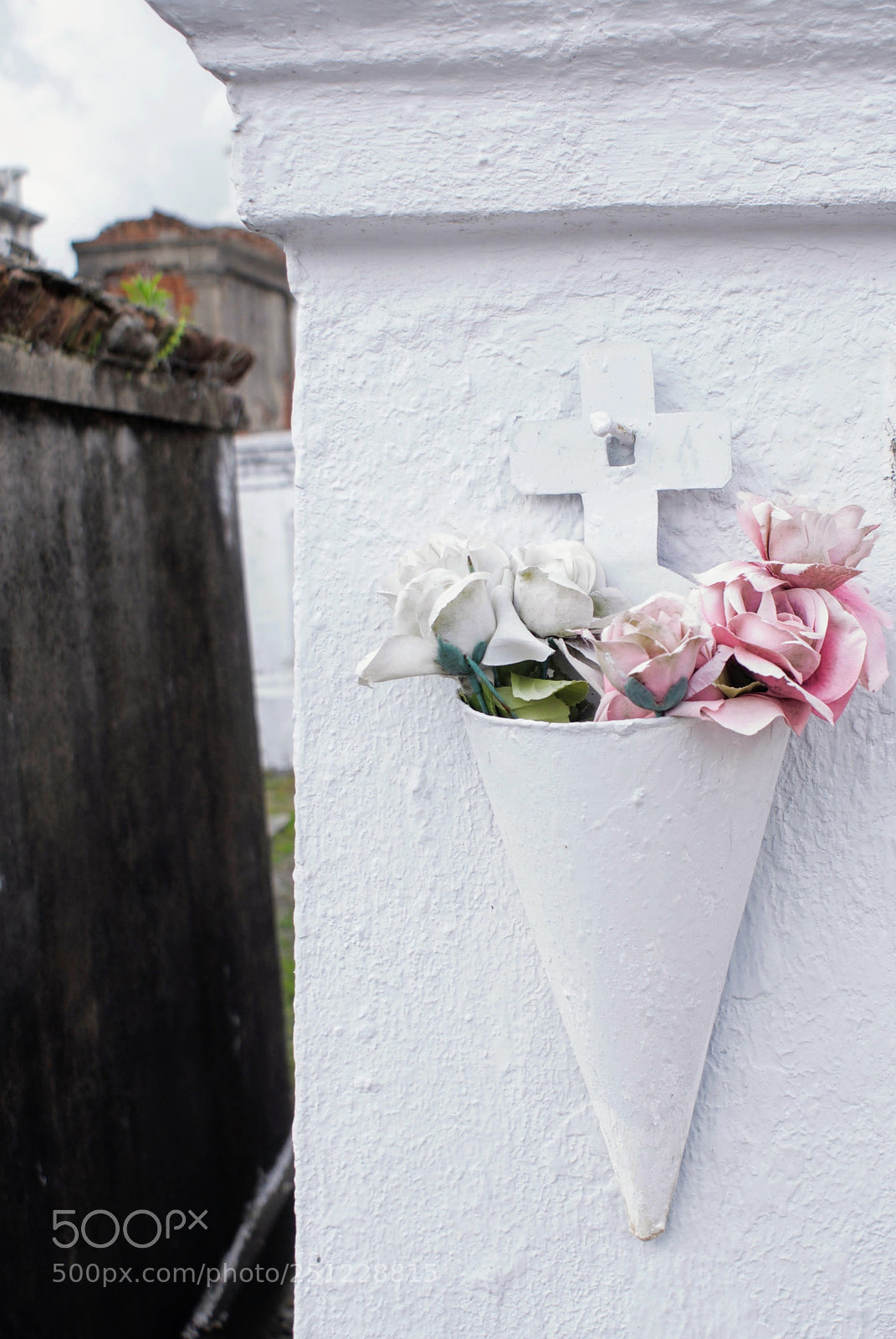 Sony Alpha DSLR-A100 sample photo. Rose water photography