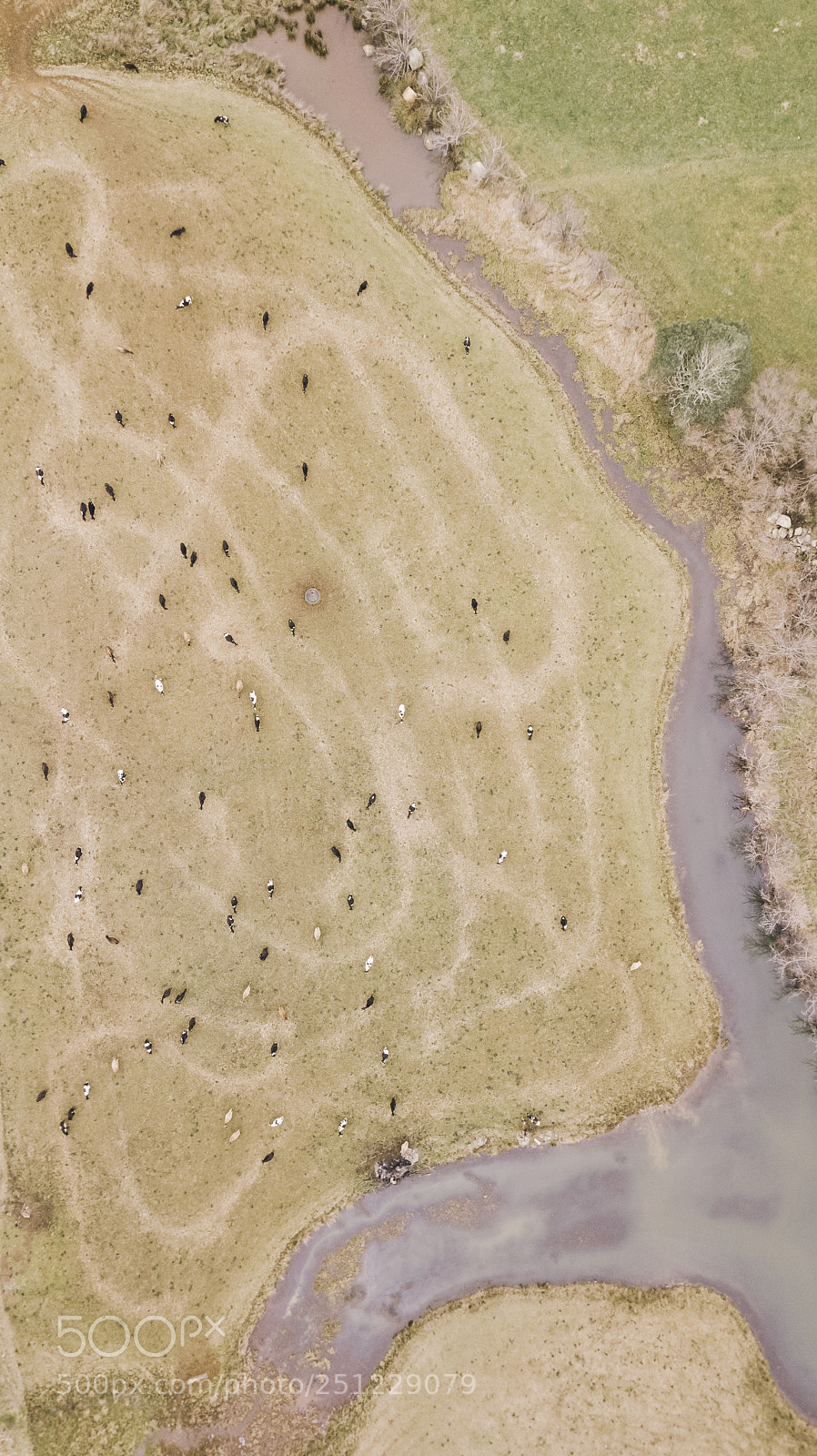 DJI FC220 sample photo. Country agricultural and farming photography