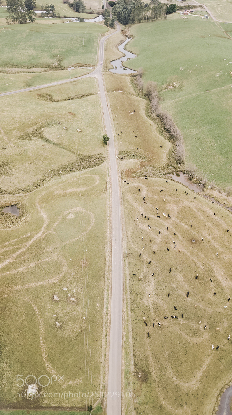 DJI FC220 sample photo. Country agricultural and farming photography