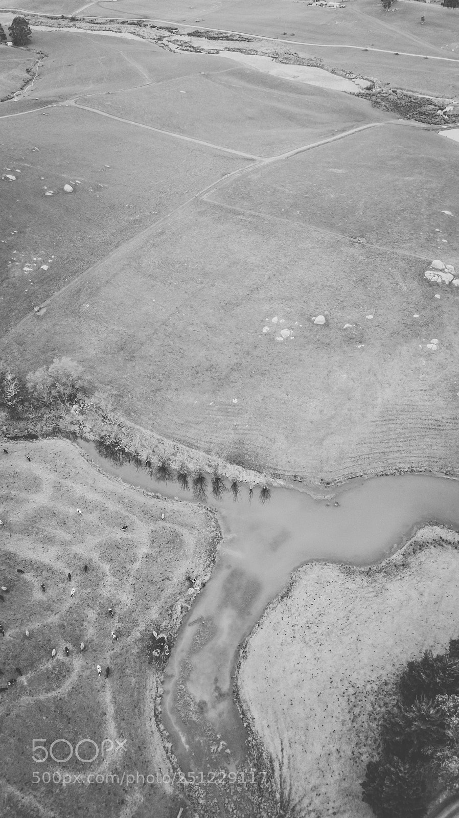 DJI FC220 sample photo. Country agricultural and farming photography