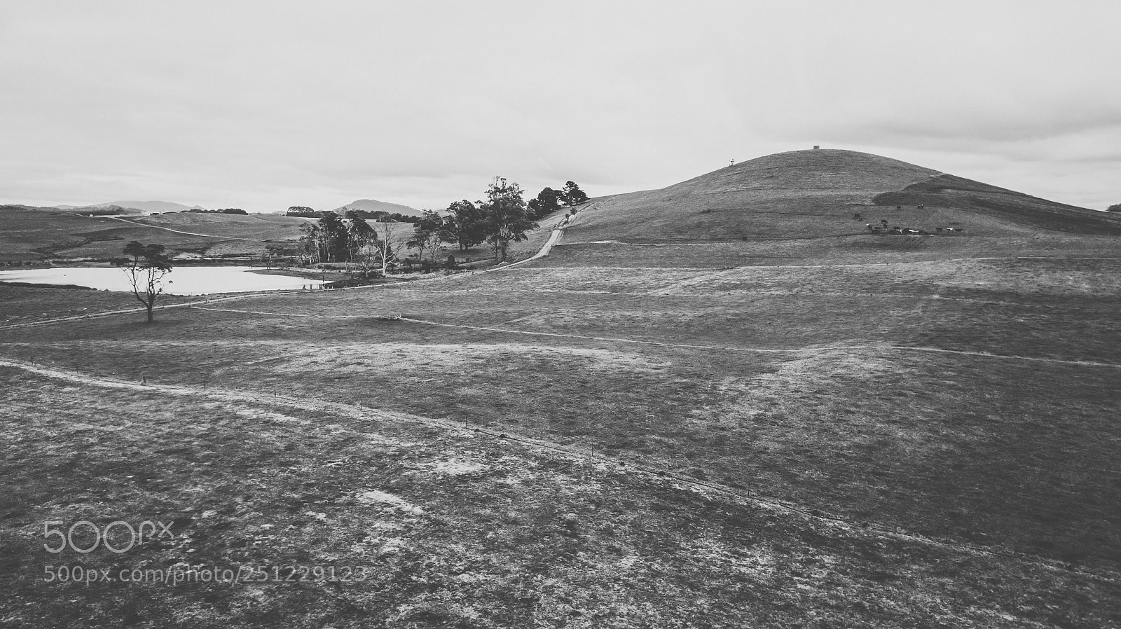 DJI FC220 sample photo. Country agricultural and farming photography