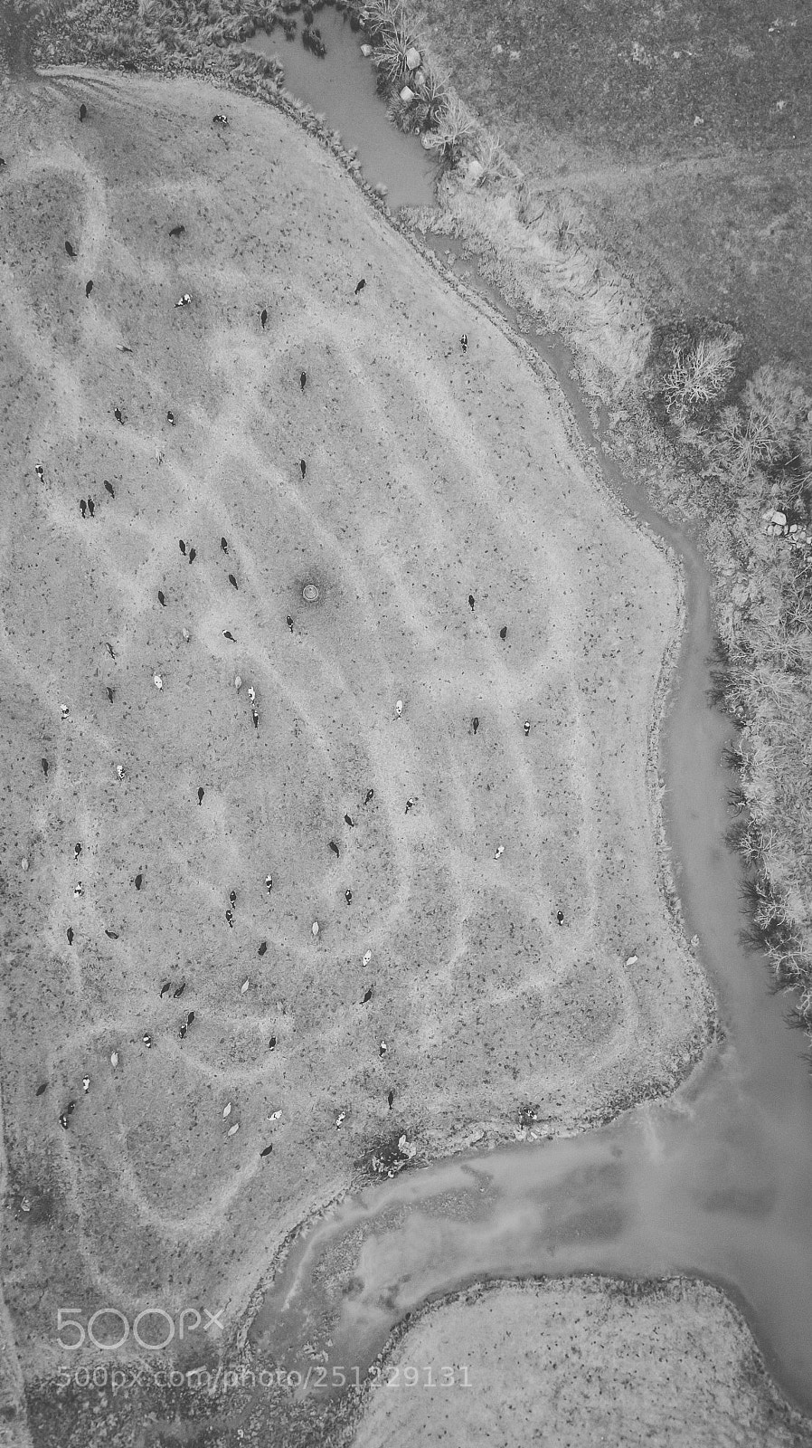 DJI FC220 sample photo. Country agricultural and farming photography