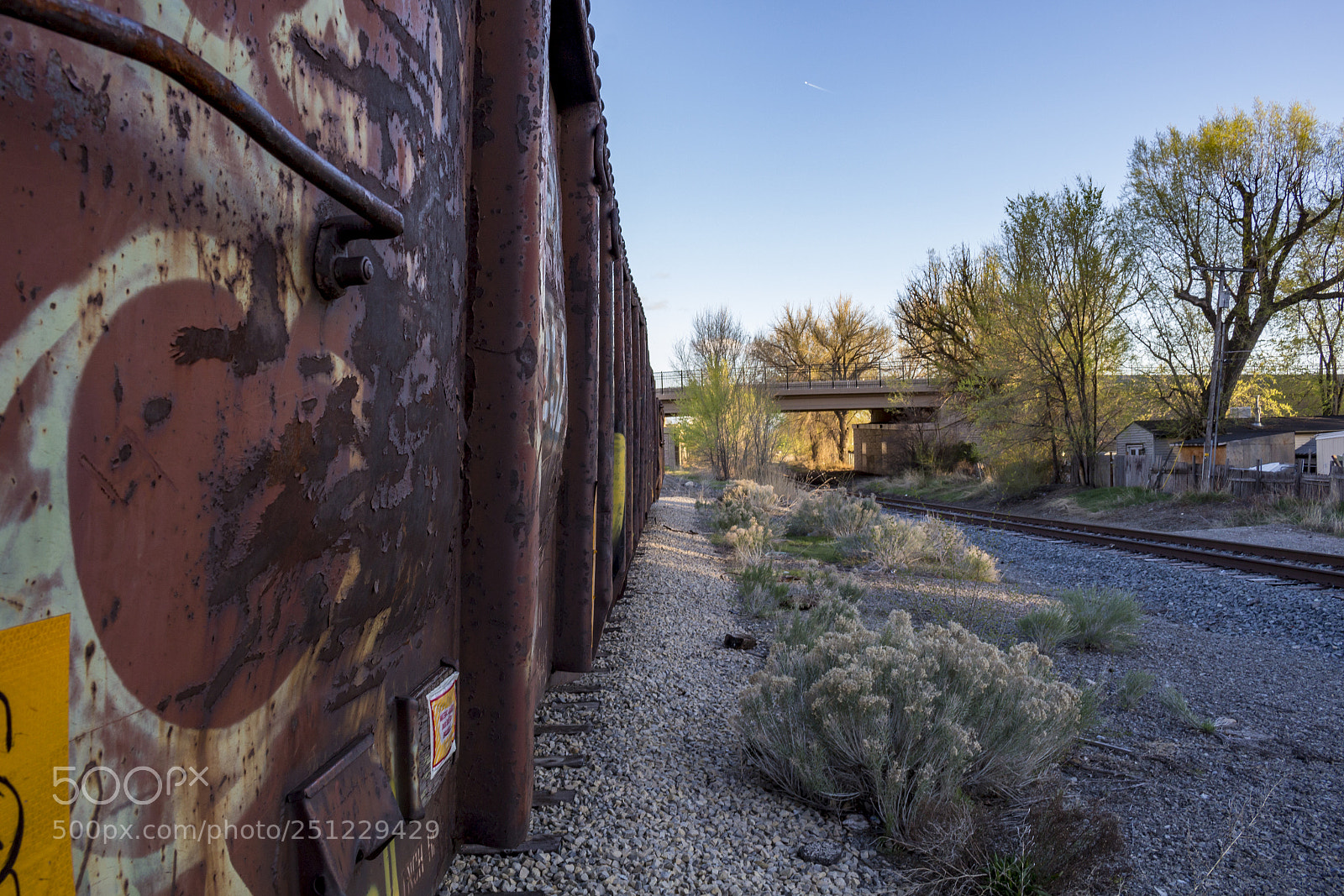 Canon EOS 100D (EOS Rebel SL1 / EOS Kiss X7) sample photo. Abandoned train cars photography
