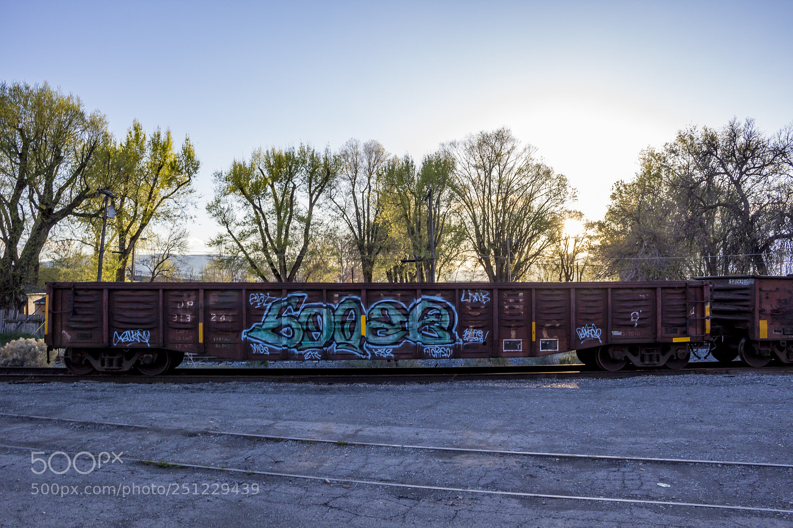 Canon EOS 100D (EOS Rebel SL1 / EOS Kiss X7) sample photo. Train car graffiti photography