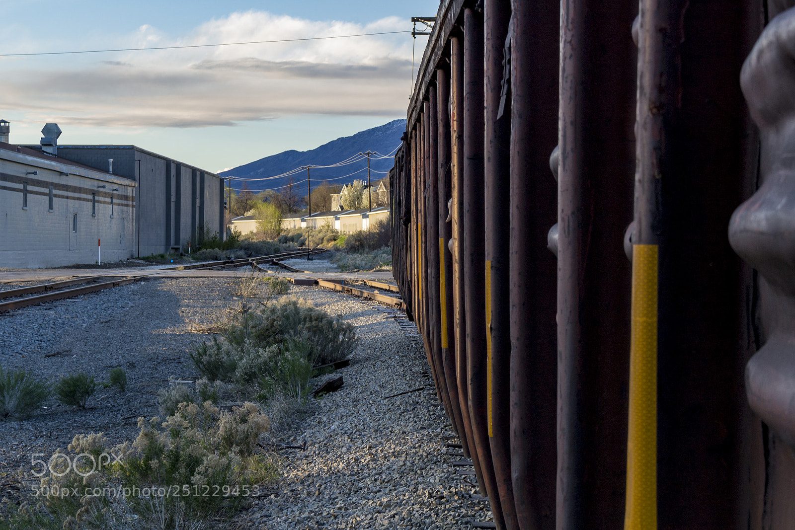 Canon EOS 100D (EOS Rebel SL1 / EOS Kiss X7) sample photo. Abandoned train cars photography