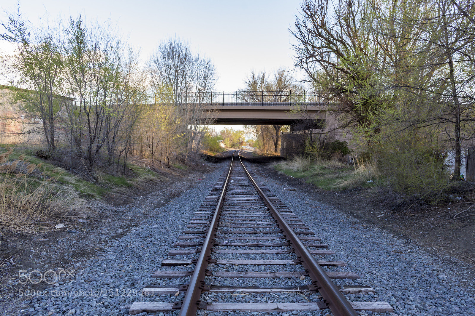 Canon EOS 100D (EOS Rebel SL1 / EOS Kiss X7) sample photo. Down the tracks photography