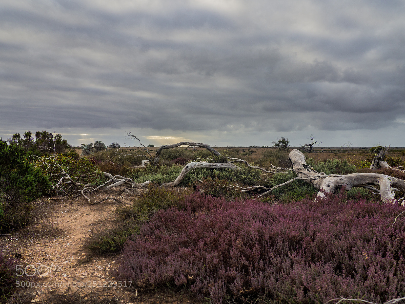 Olympus OM-D E-M10 sample photo. Arid colours photography