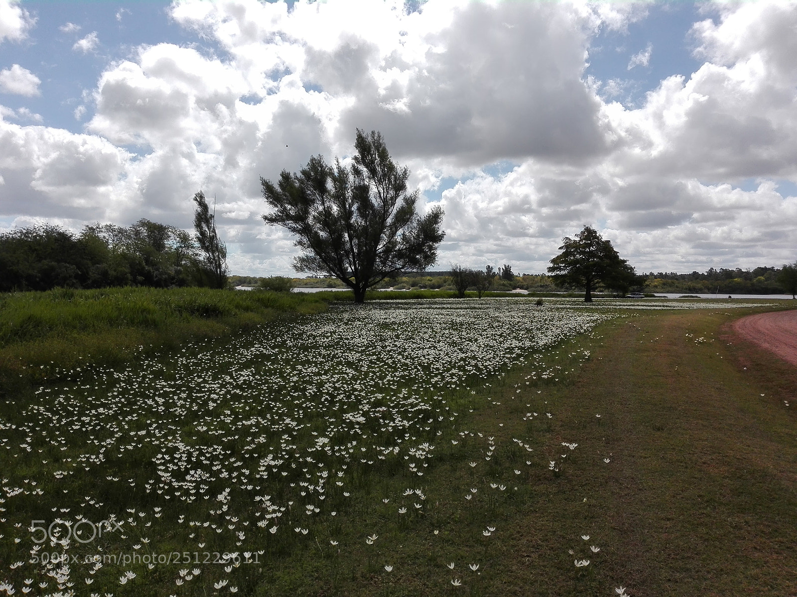 HUAWEI P8 Lite sample photo. Field photography
