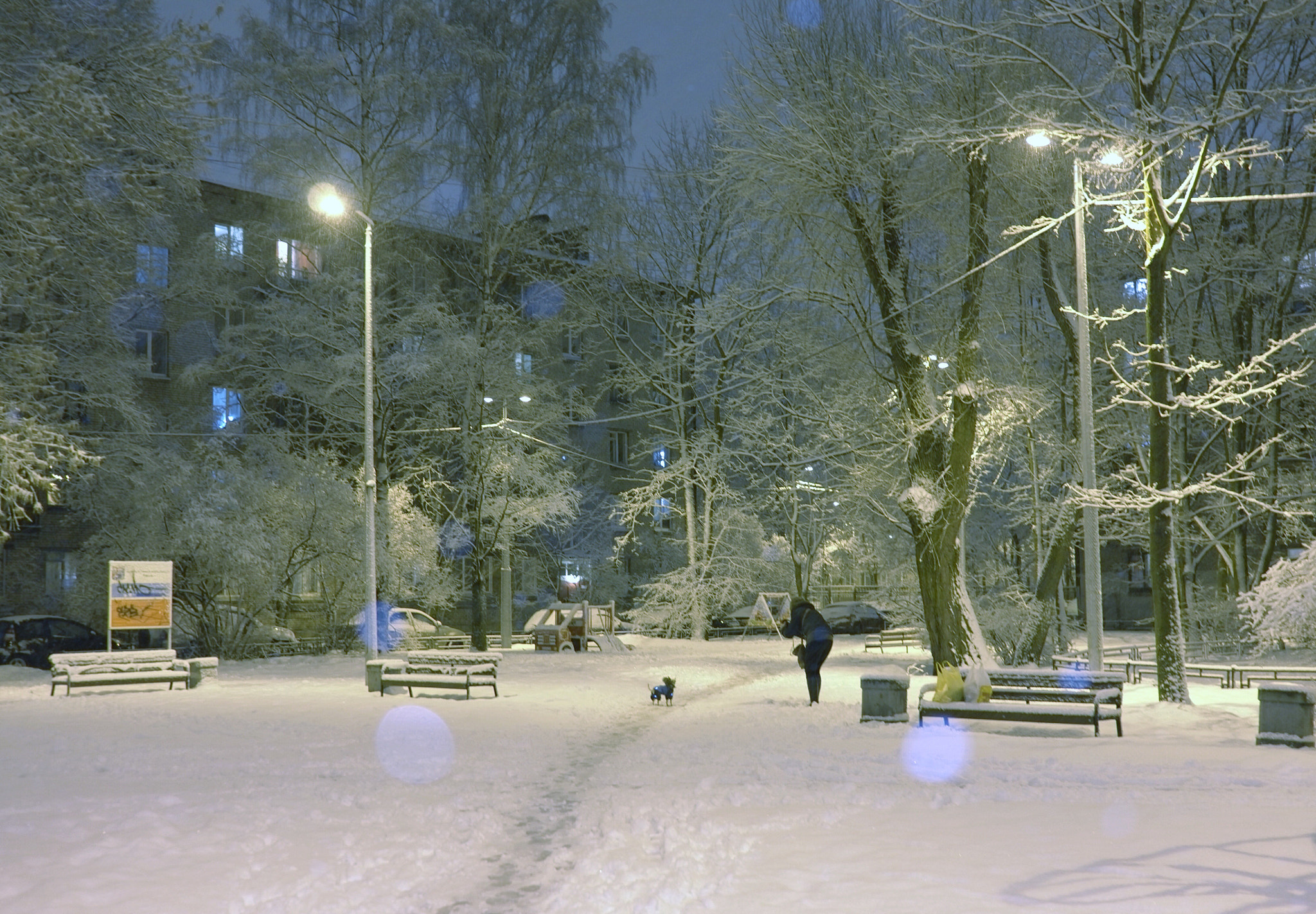 Leica X (Typ 113) sample photo. Snowing photography