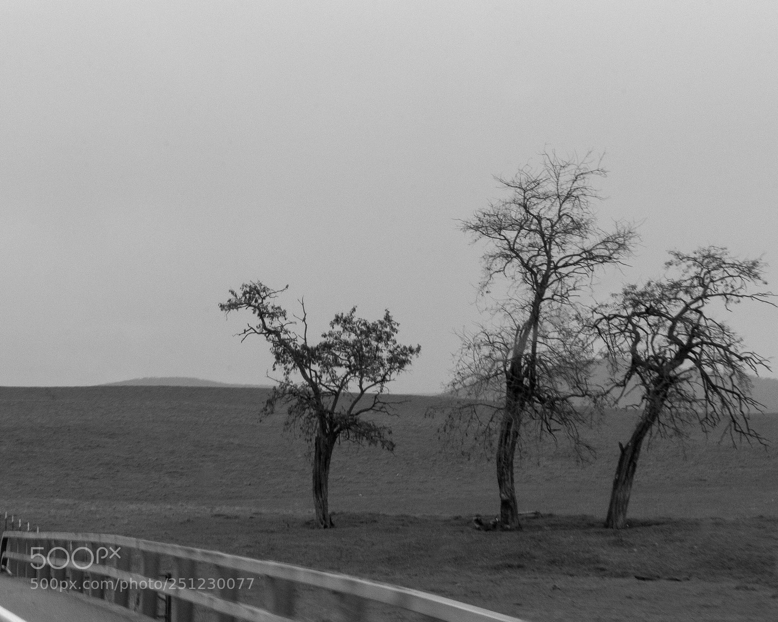 Nikon D7100 sample photo. Look, mom and dad! photography