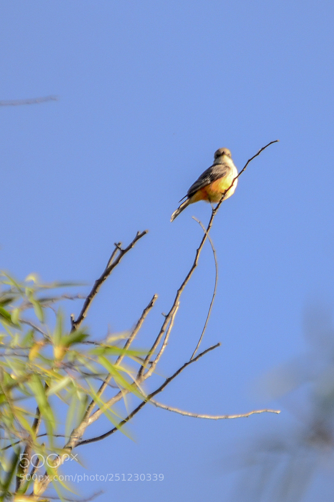 Nikon D7000 sample photo. E photography