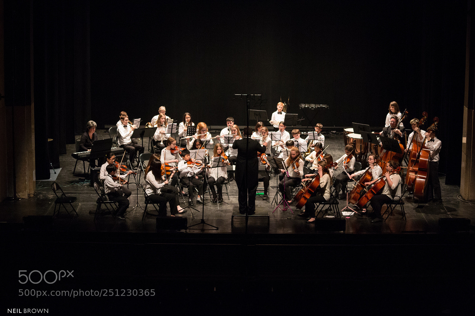 Canon EOS 70D sample photo. Work with student orchestras. photography