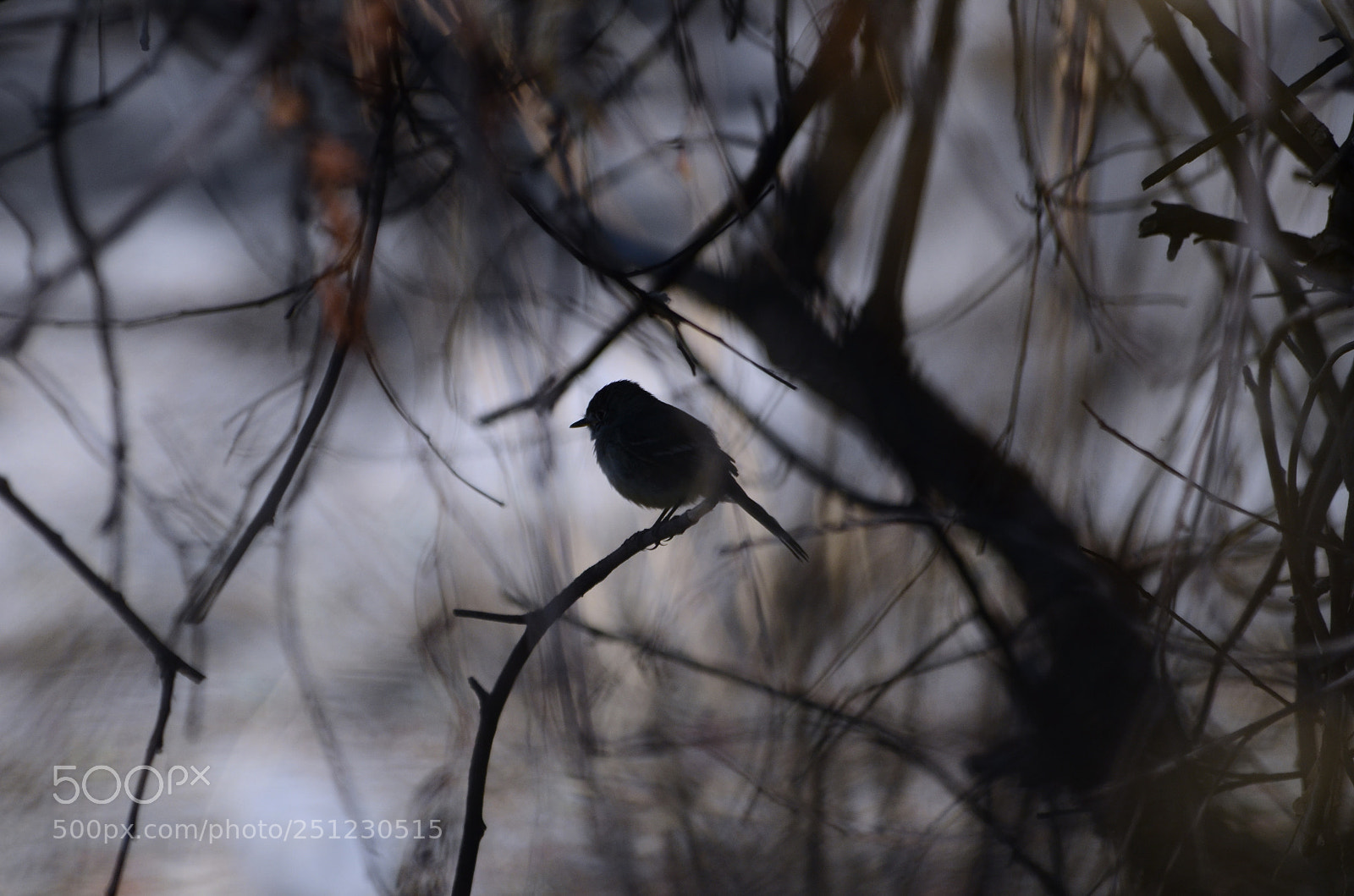 Nikon D7000 sample photo. E photography