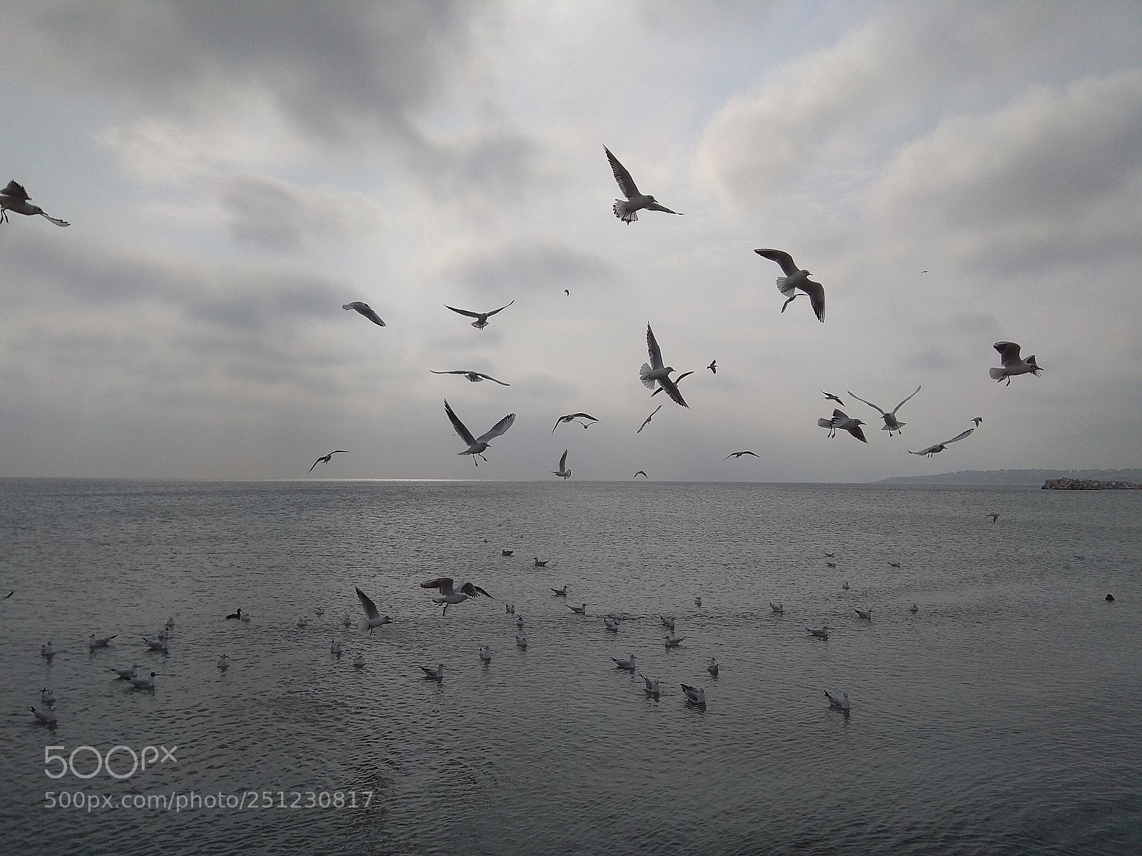 Xiaomi Redmi Note 4X sample photo. Wanna fly photography