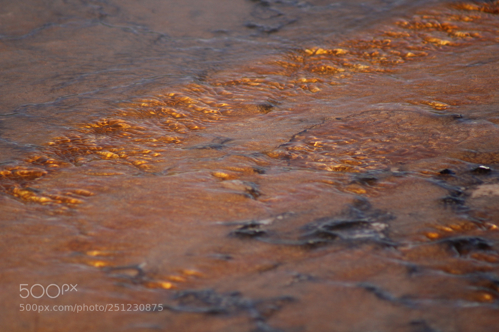 Canon EF 75-300mm f/4-5.6 sample photo. Thermophiles near geyser photography
