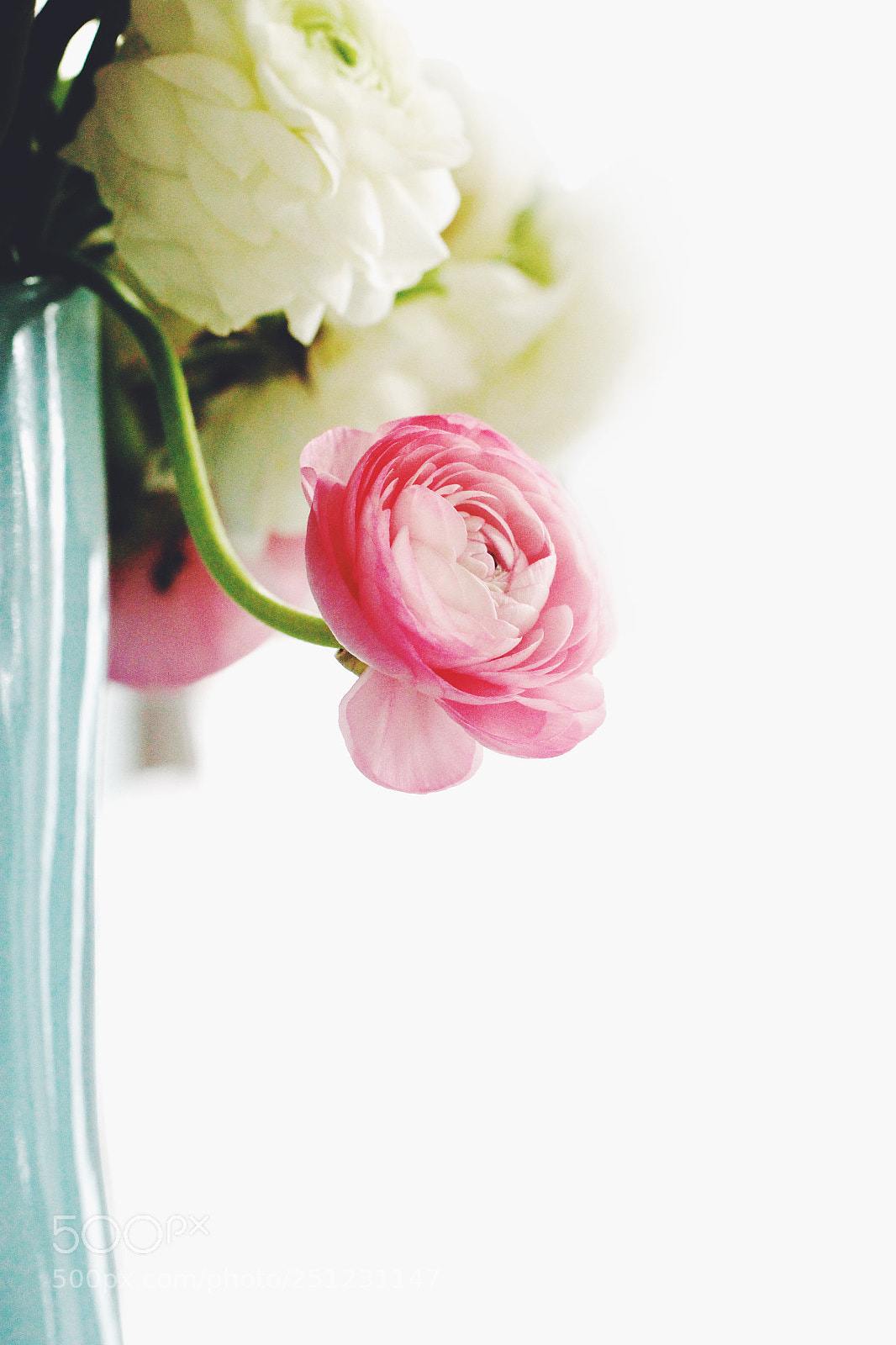 Canon EOS 60D sample photo. Untitled photography