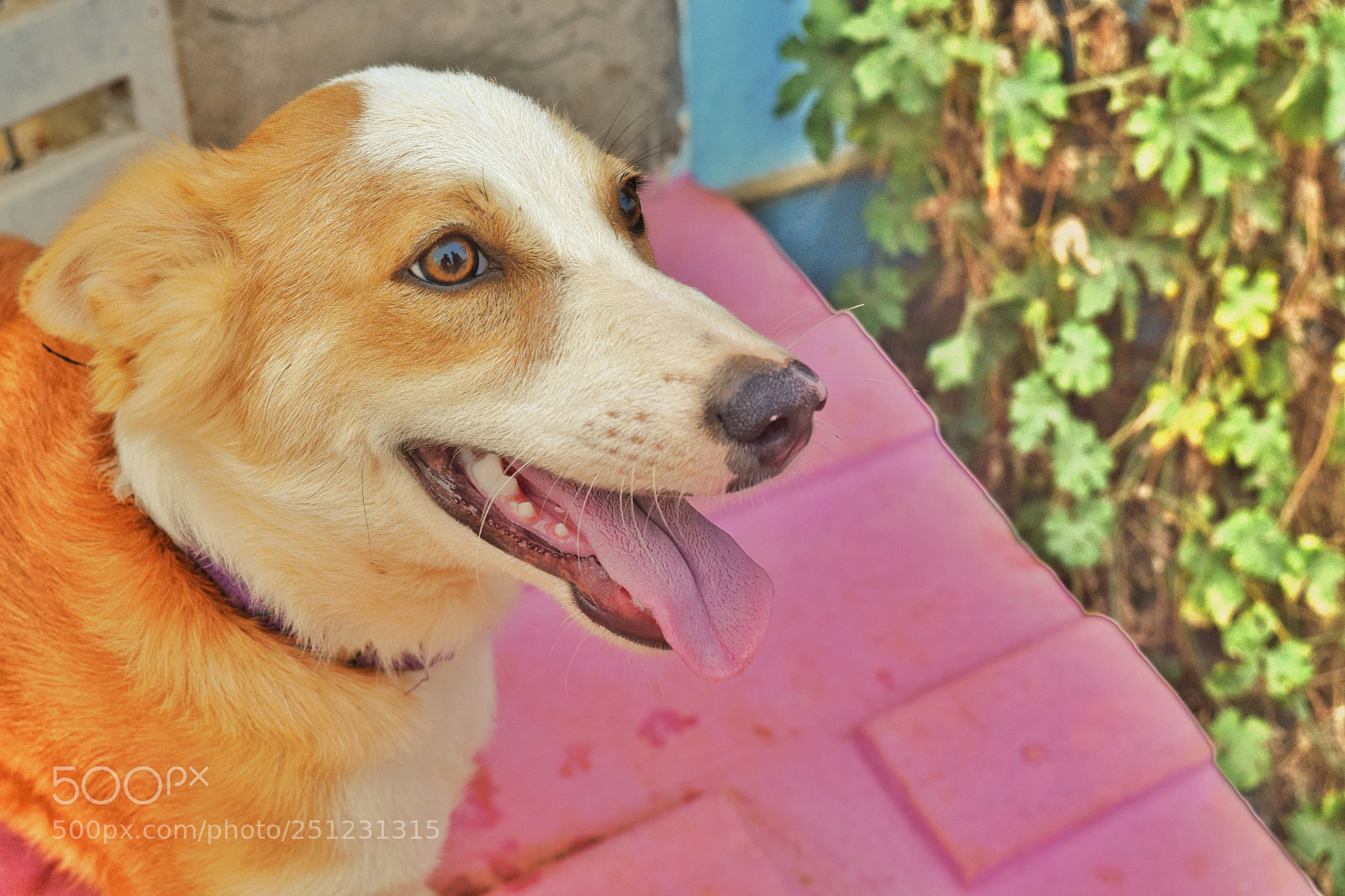 Nikon D5300 sample photo. Untitled photography
