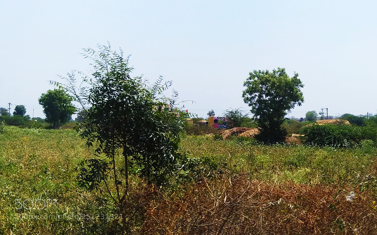 Xiaomi Redmi Note 4 sample photo. Untitled photography