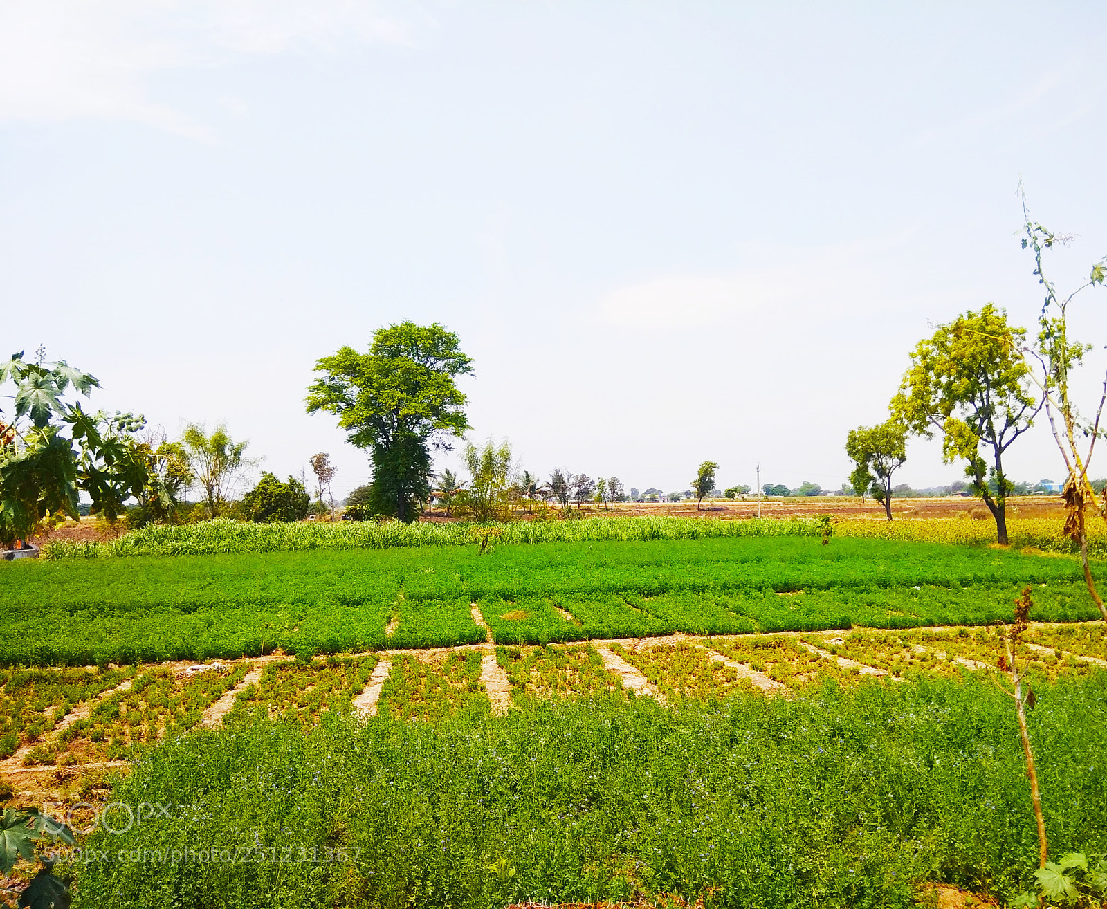 Xiaomi Redmi Note 4 sample photo. Untitled photography