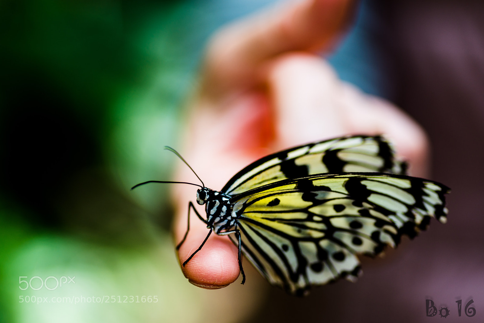 Nikon D810 sample photo. For you photography